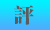 中央广播电视总台总经理室声明：从未向任何一家企业颁发过如下称号、牌匾或证书