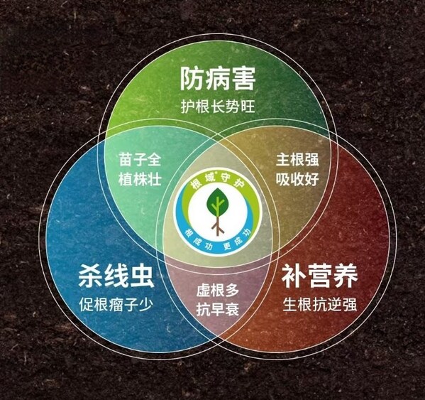 三环聚力再升级，拜耳根域守护2.0焕新亮相