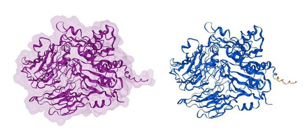 积算科技推出AlphaFold3 即点即用 算力服务，现已开放免费试用